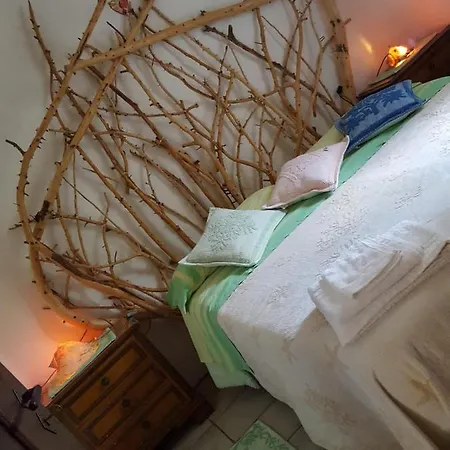 Giardino Del Sole אולביה